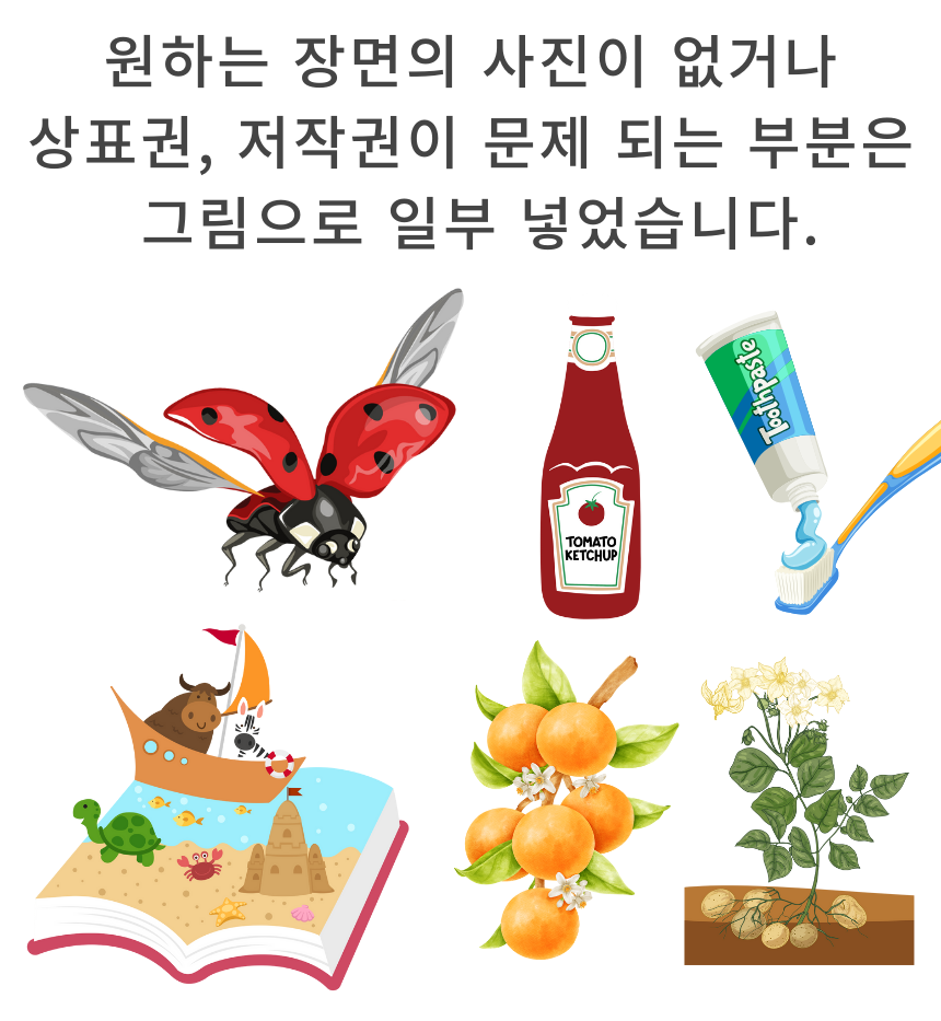 노리낱말카드 상세 안내 10-1번
