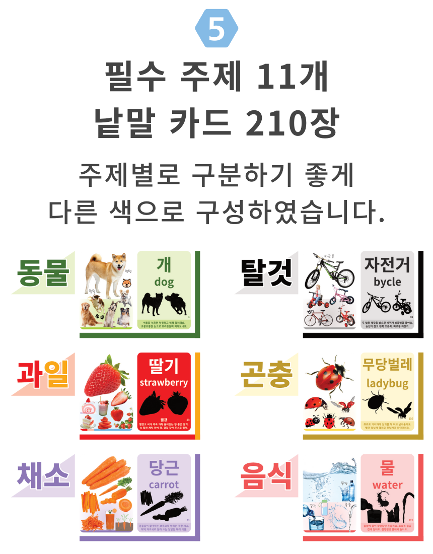 노리낱말카드 상세 안내 21번