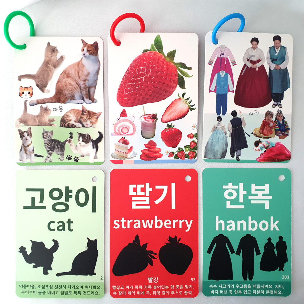노리낱말카드 실제 제품 앞면과 뒷면