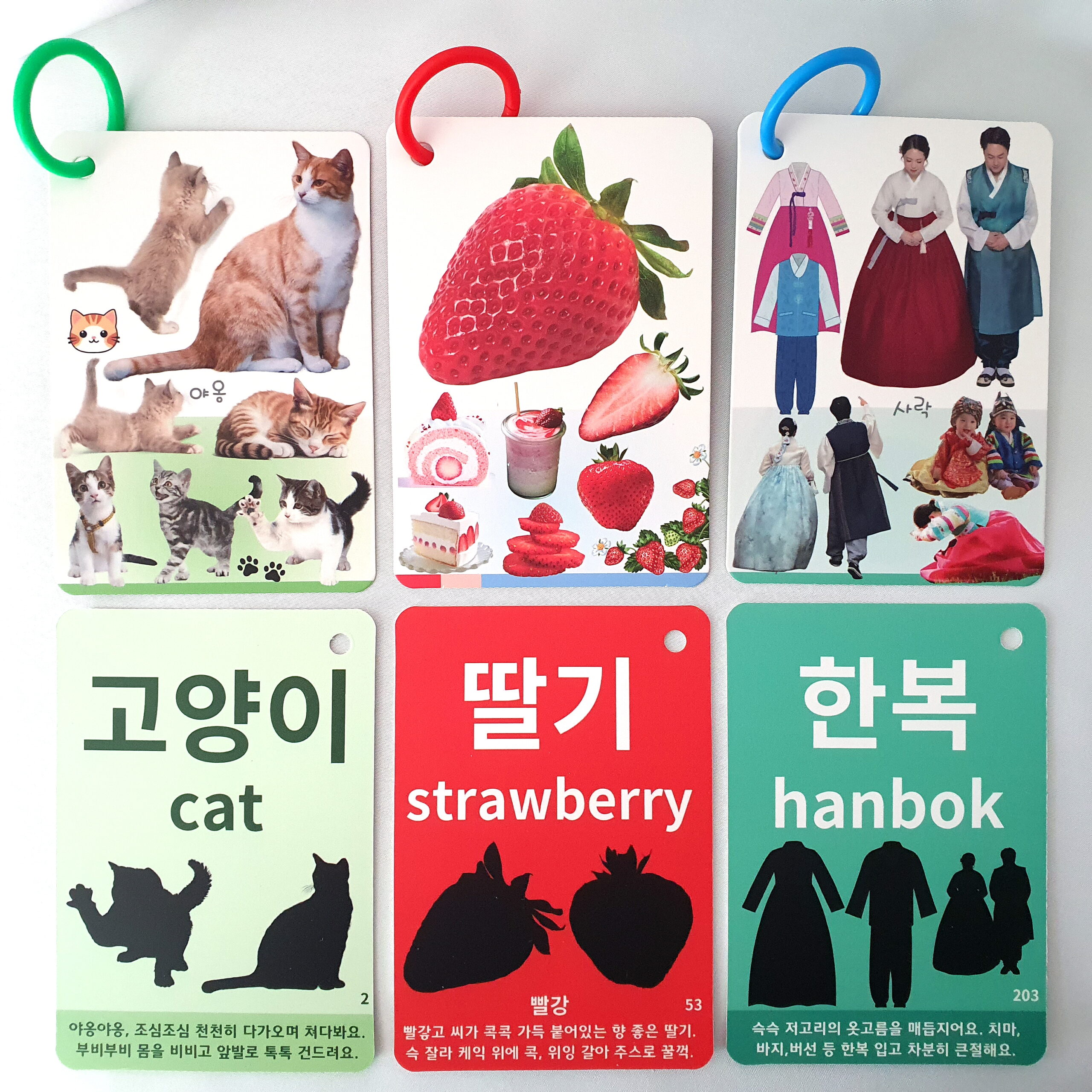 노리낱말카드 실제 제품 앞면과 뒷면